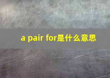 a pair for是什么意思